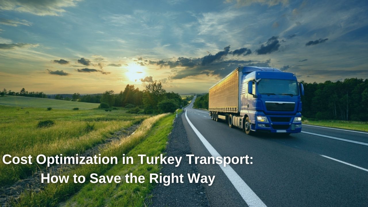Cost Optimization in Turkey Transport: How to Save the Right Way