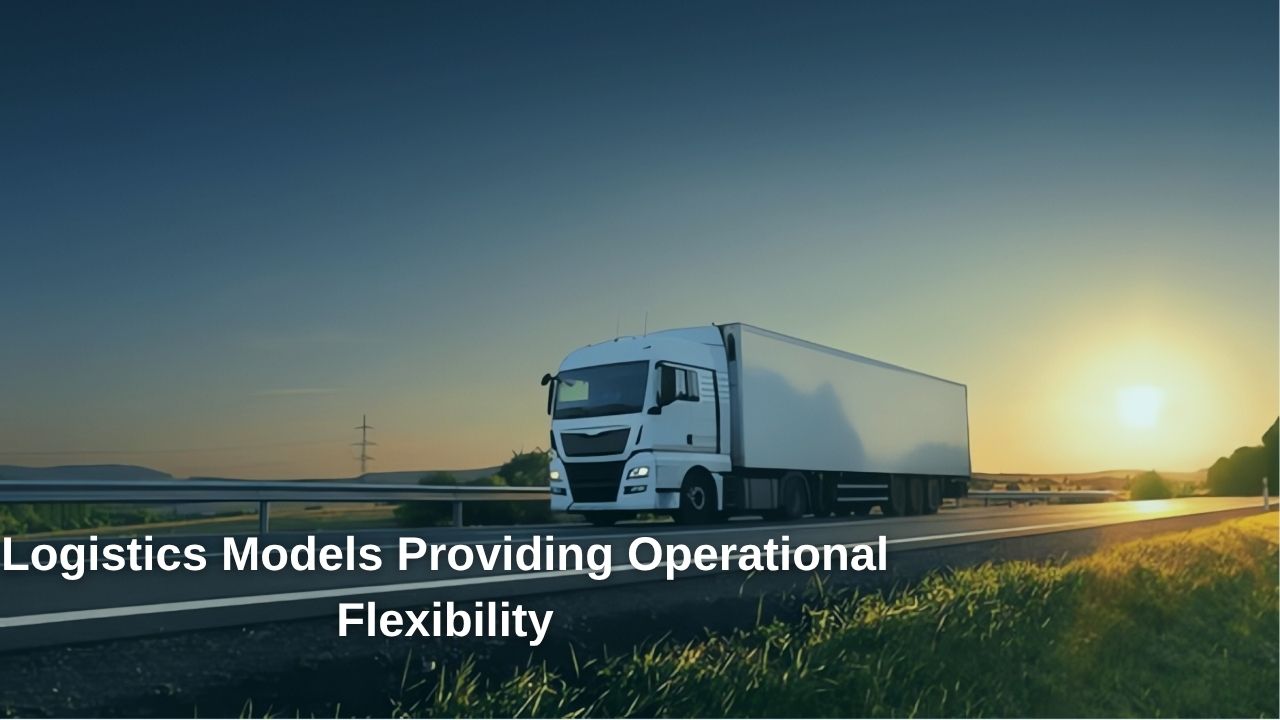 Logistics Models Providing Operational Flexibility
